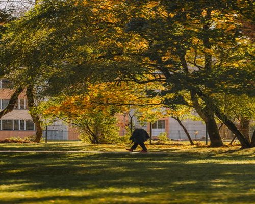 Person walking in a green urban park